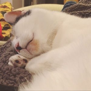 Meet your Posher, Suzanne